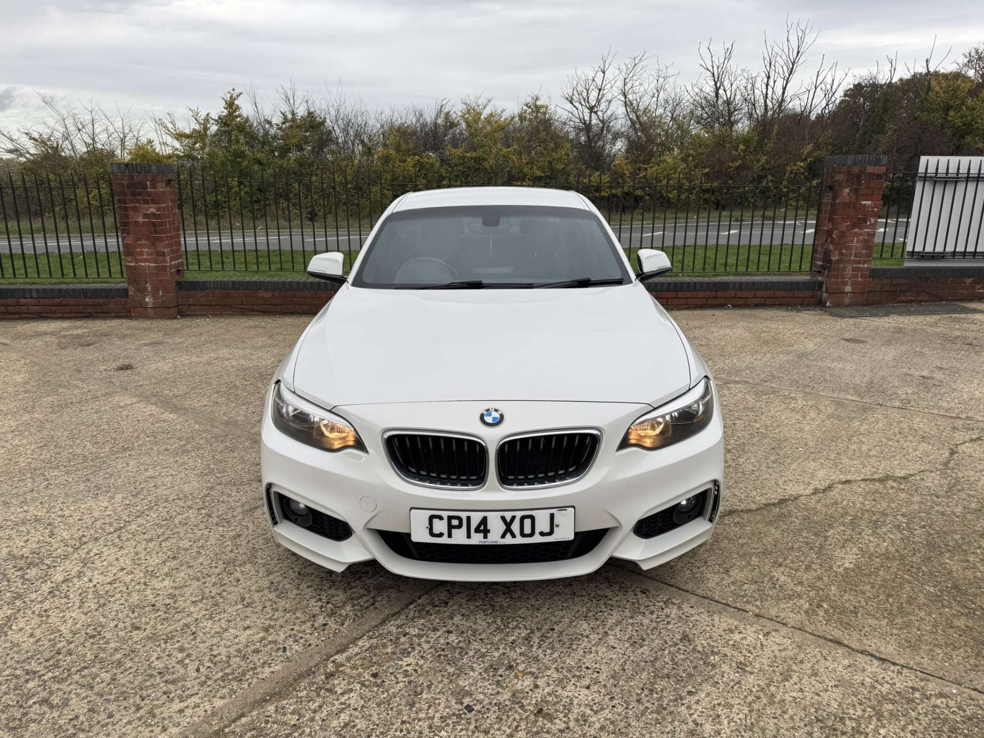 BMW 2 SERIES 2.0 218D M Sport 2dr #4