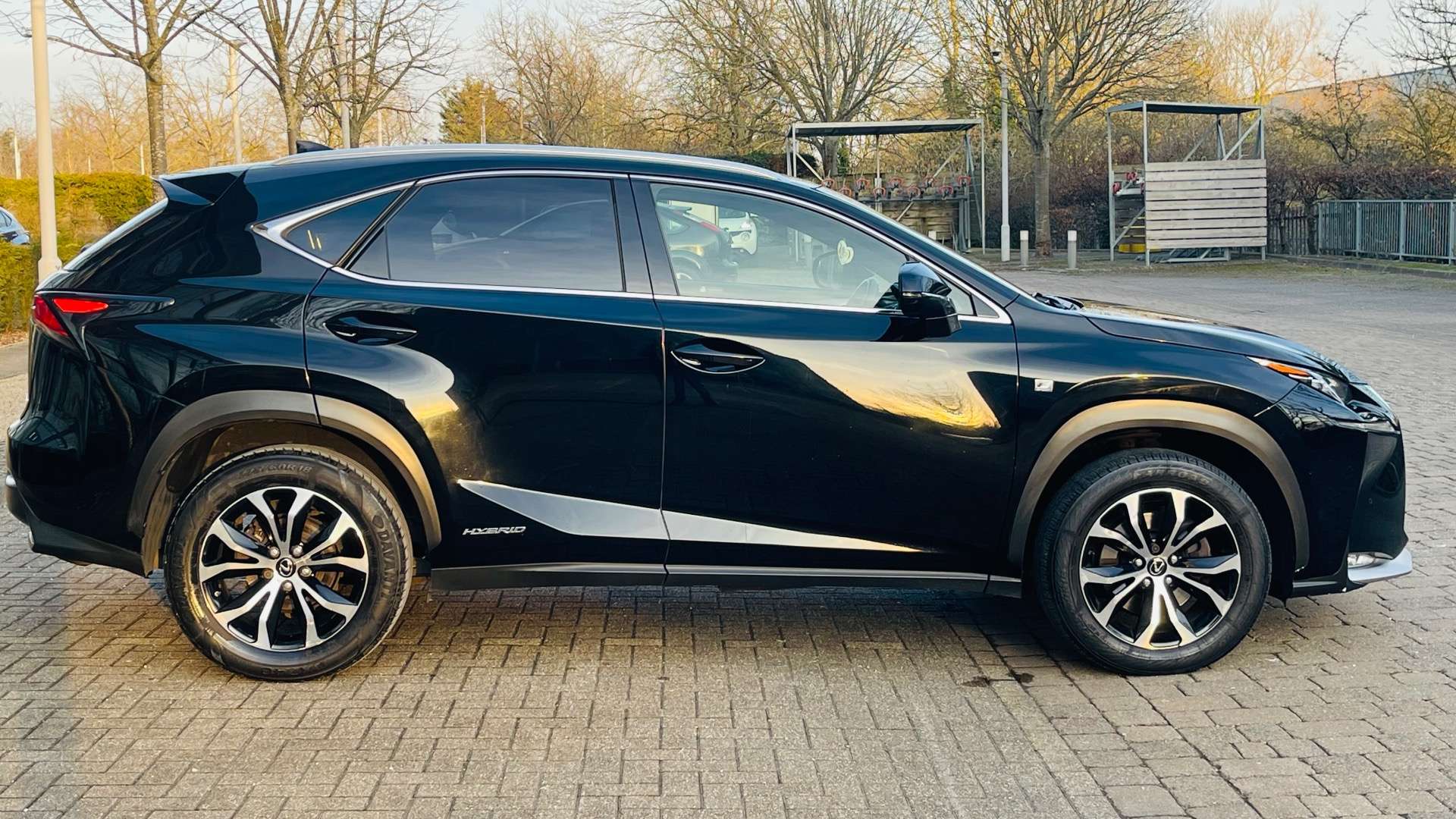 LEXUS NX 2.5 NX 300h F Sport CVT 4WD 5dr #8