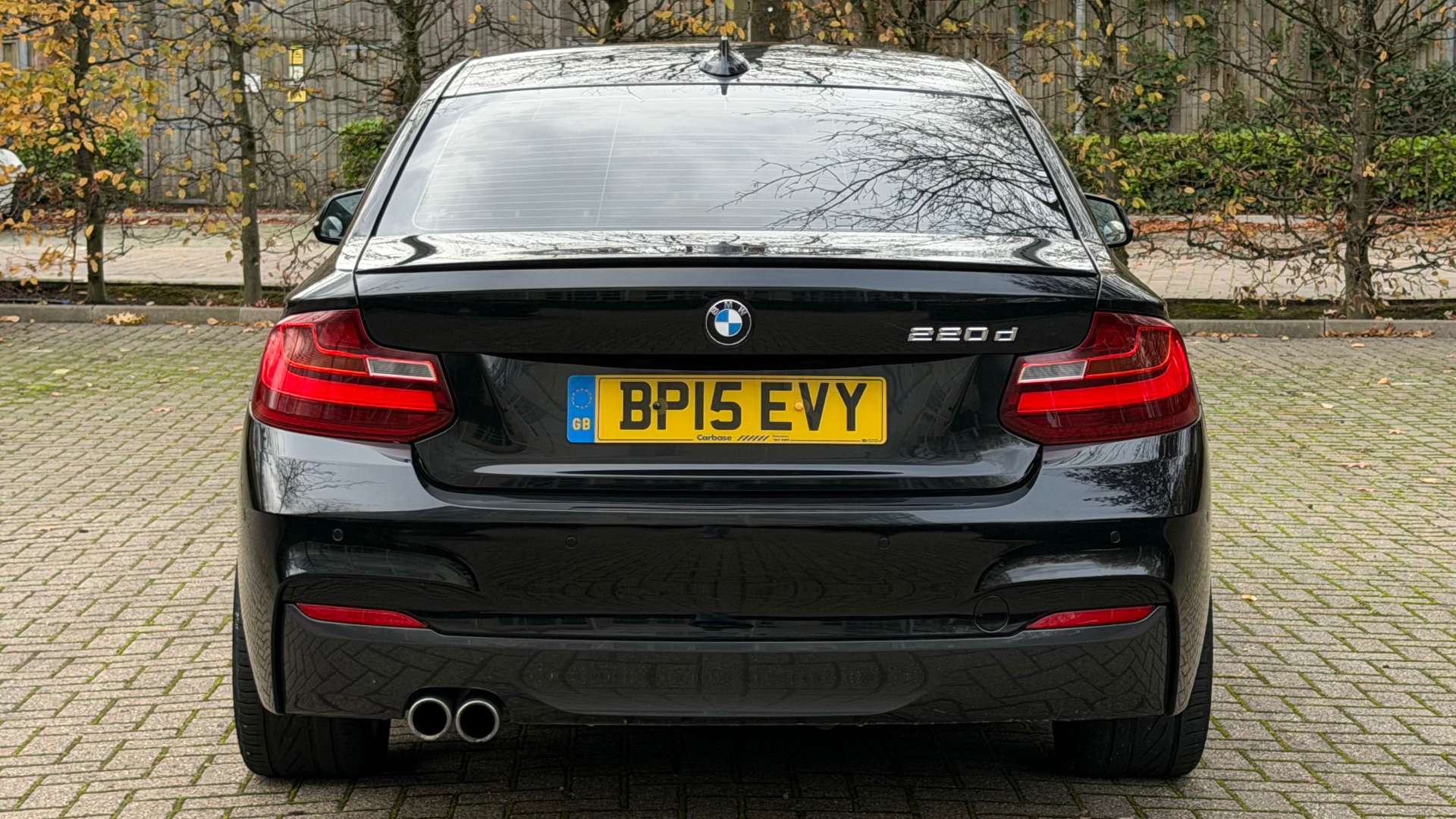 BMW 2 SERIES 2.0 220D M Sport Auto 2dr #8