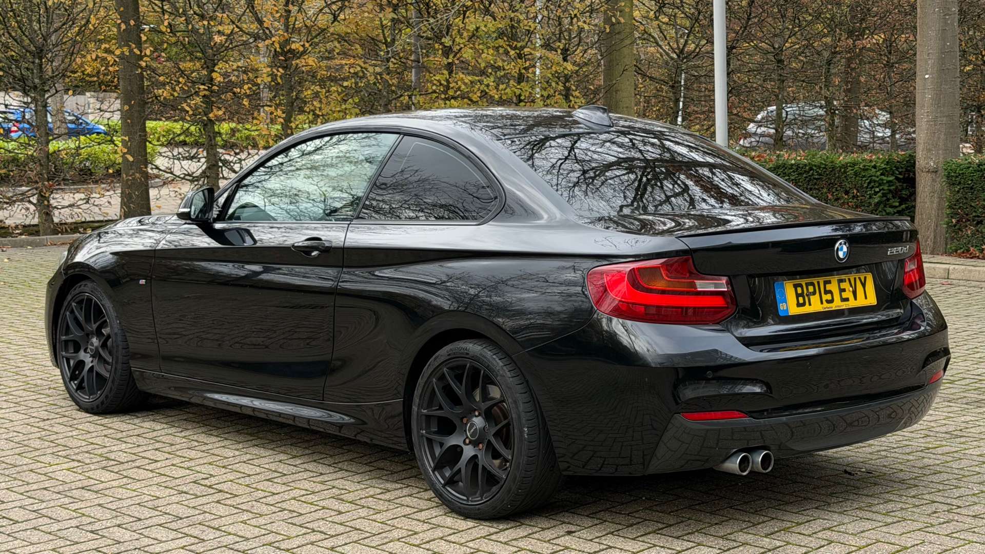 BMW 2 SERIES 2.0 220D M Sport Auto 2dr #10