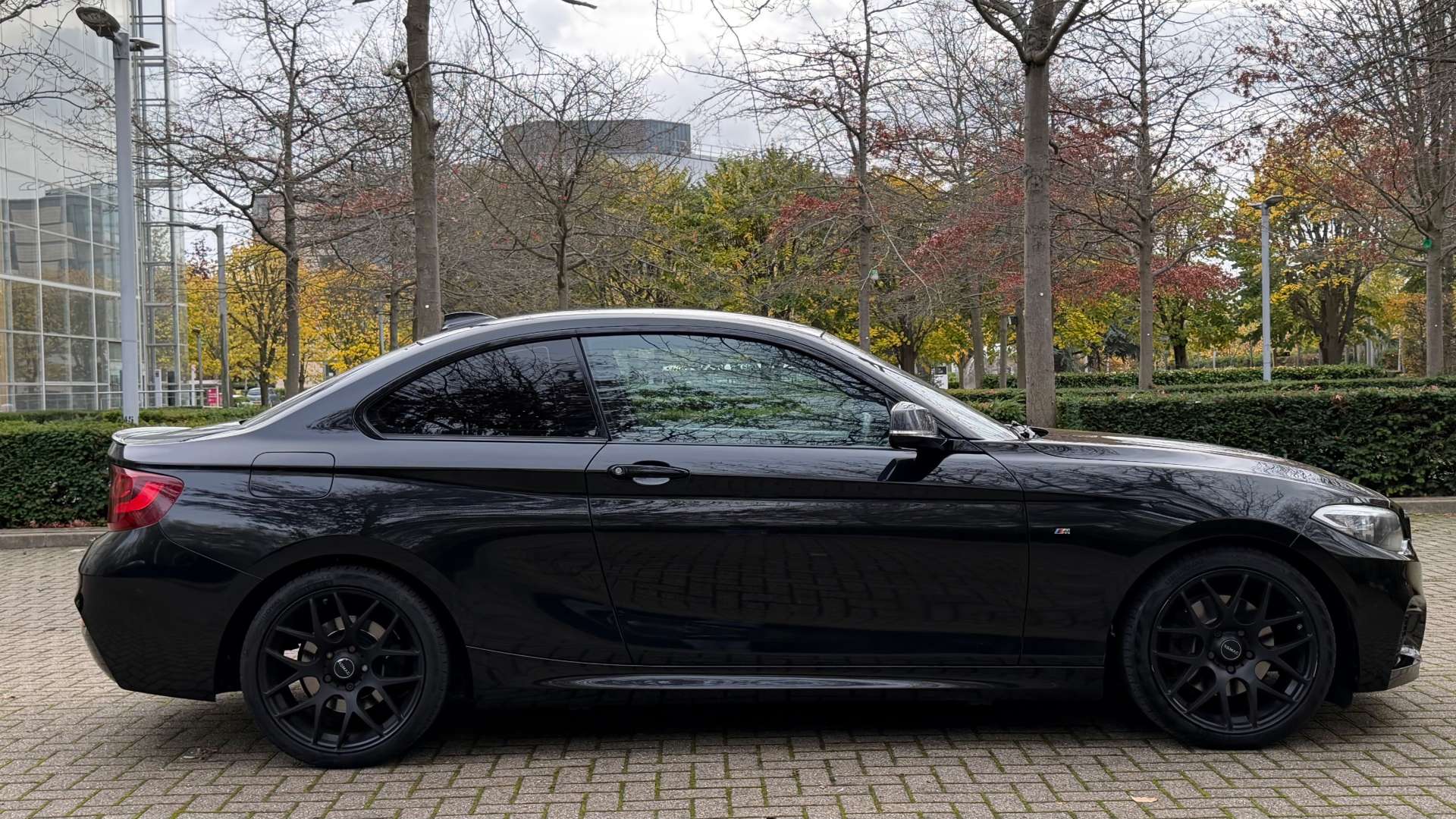 BMW 2 SERIES 2.0 220D M Sport Auto 2dr #12