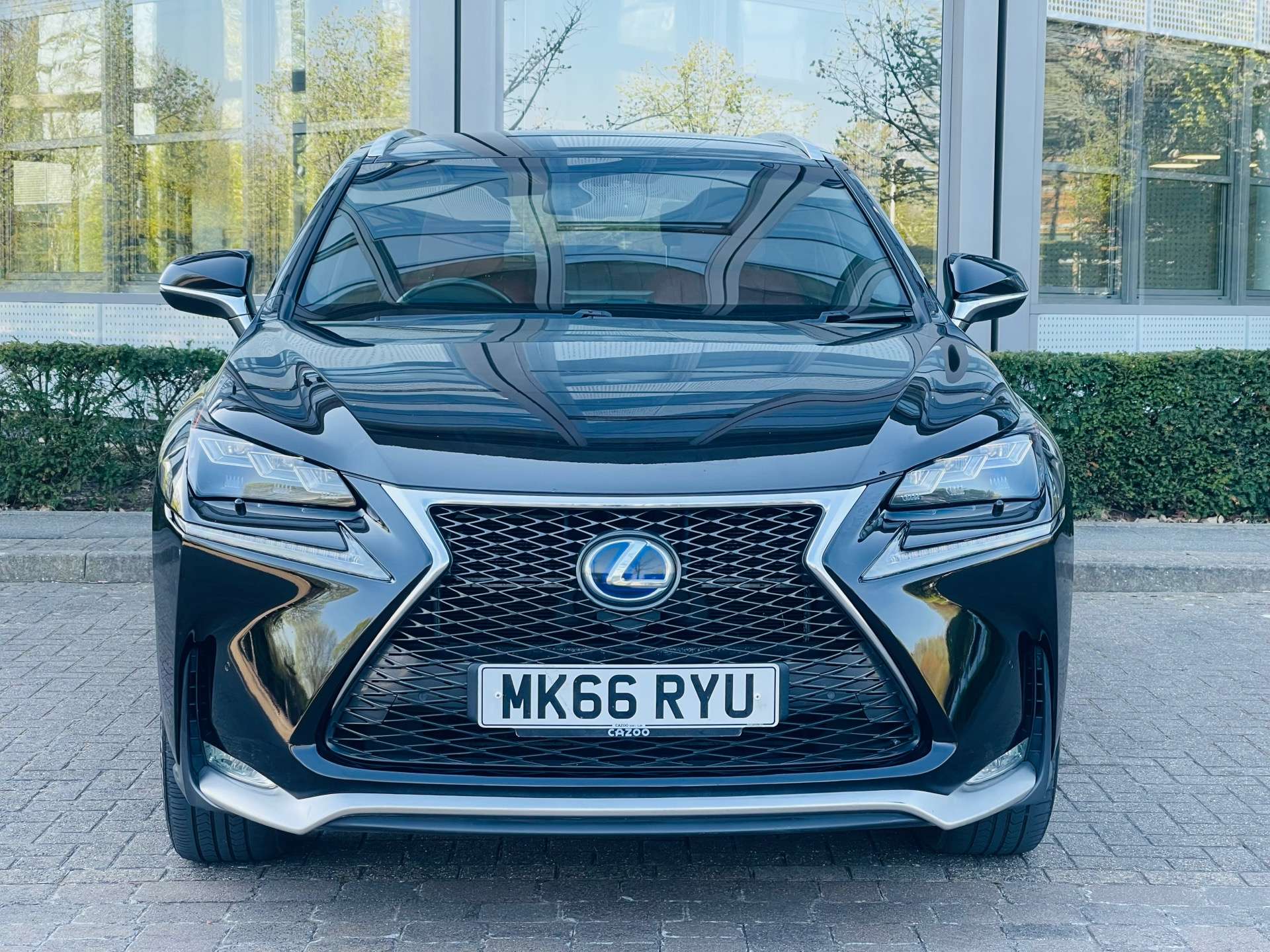 LEXUS NX 2.5 NX 300h F Sport CVT 4WD 5dr #22