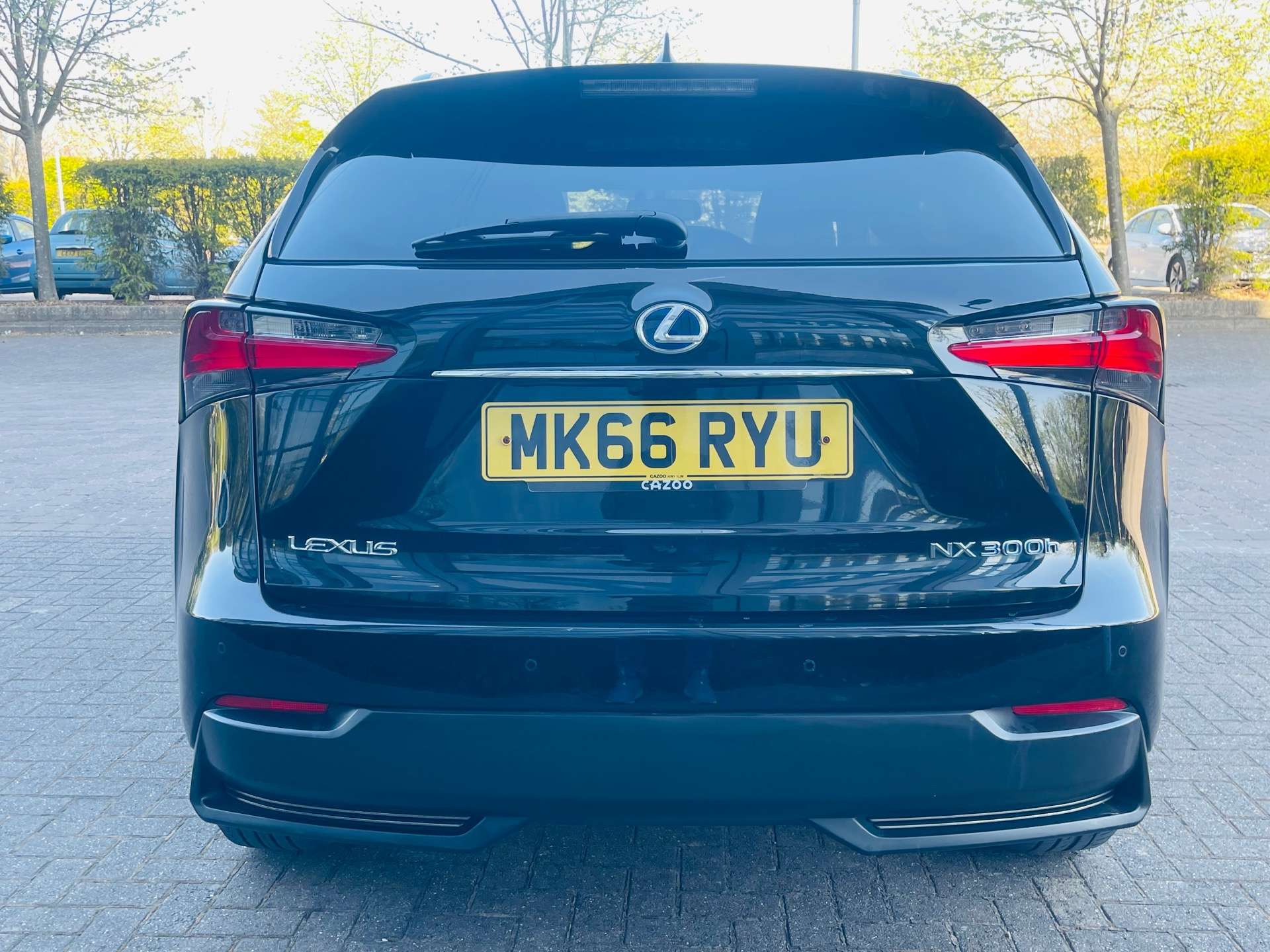 LEXUS NX 2.5 NX 300h F Sport CVT 4WD 5dr #25
