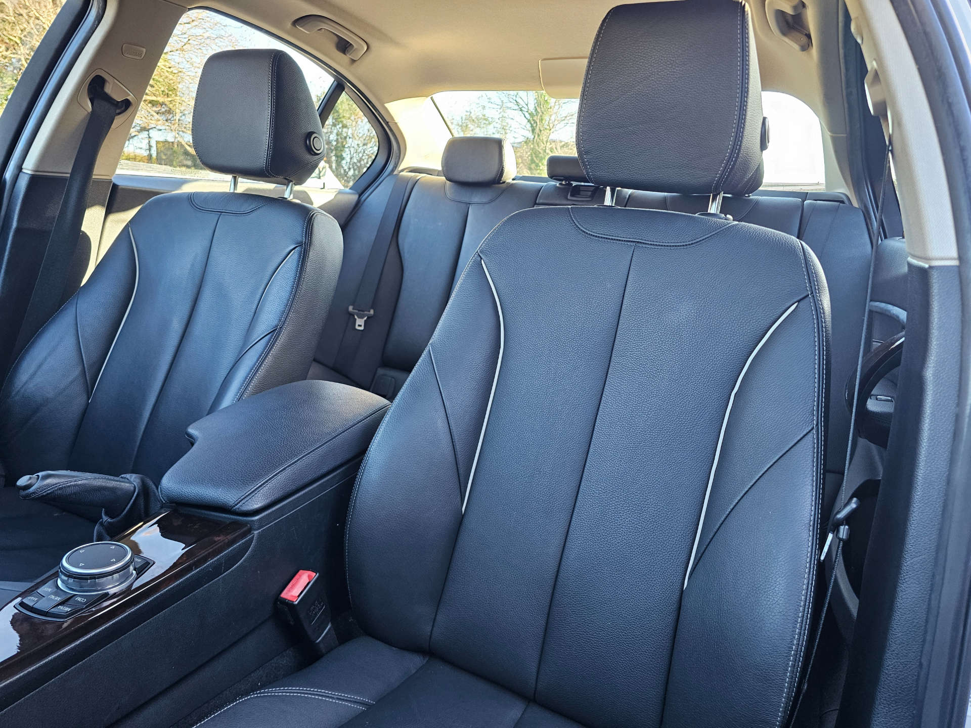 BMW 3 SERIES 1.5 318i Luxury Auto Euro 6 (s/s) 4dr #11