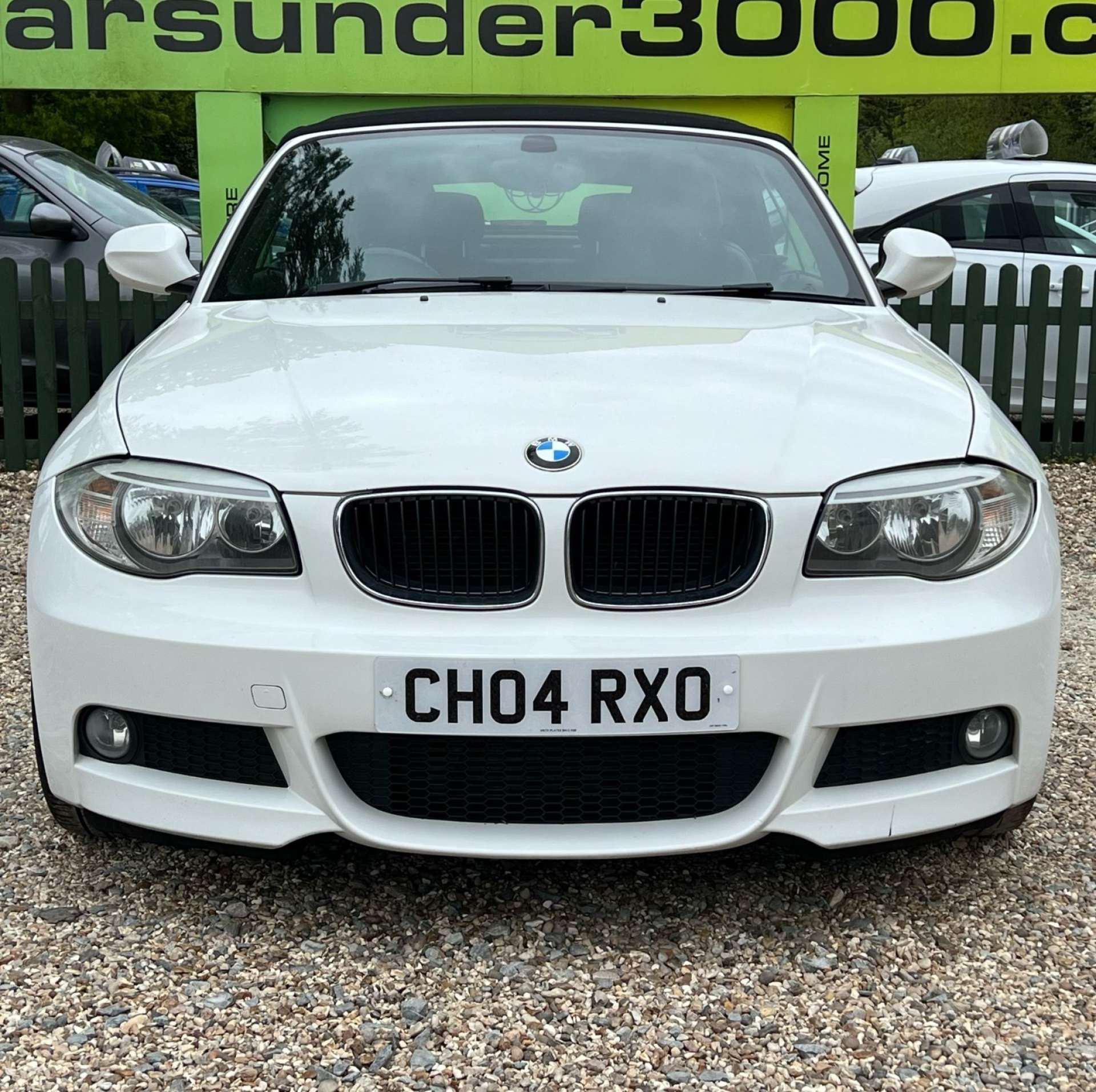 BMW 1 SERIES 2.0 120D M Sport 2dr #4