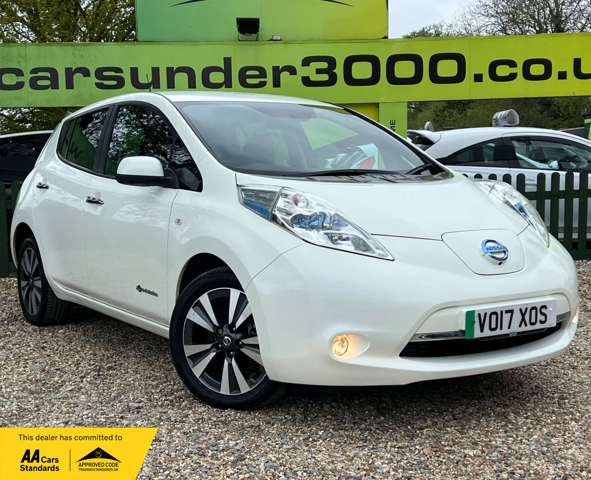NISSAN LEAF Leaf Tekna 30kWh 5dr