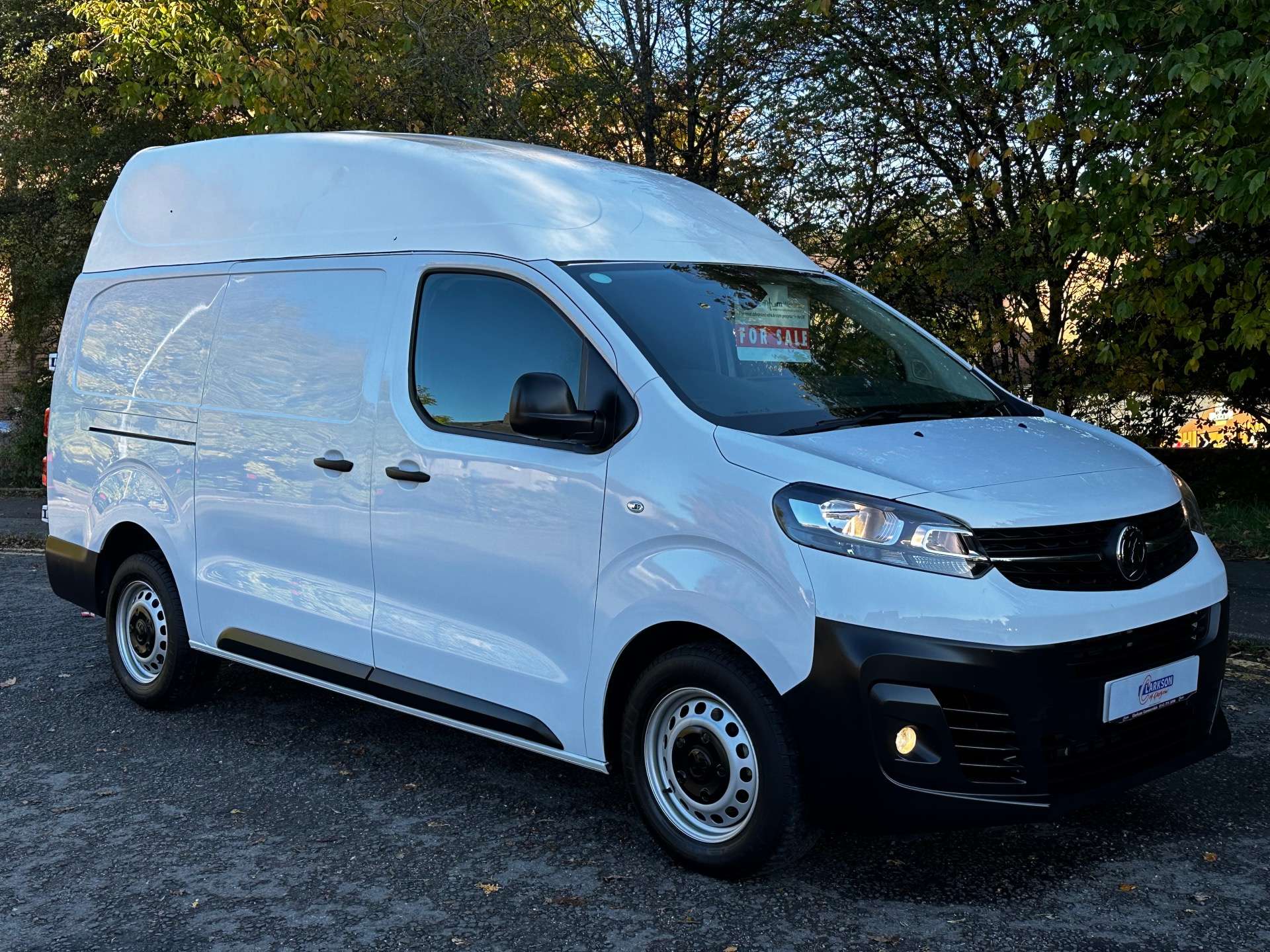 VAUXHALL VIVARO F2900 Dynamic L2H2 (LWB high roof) #0