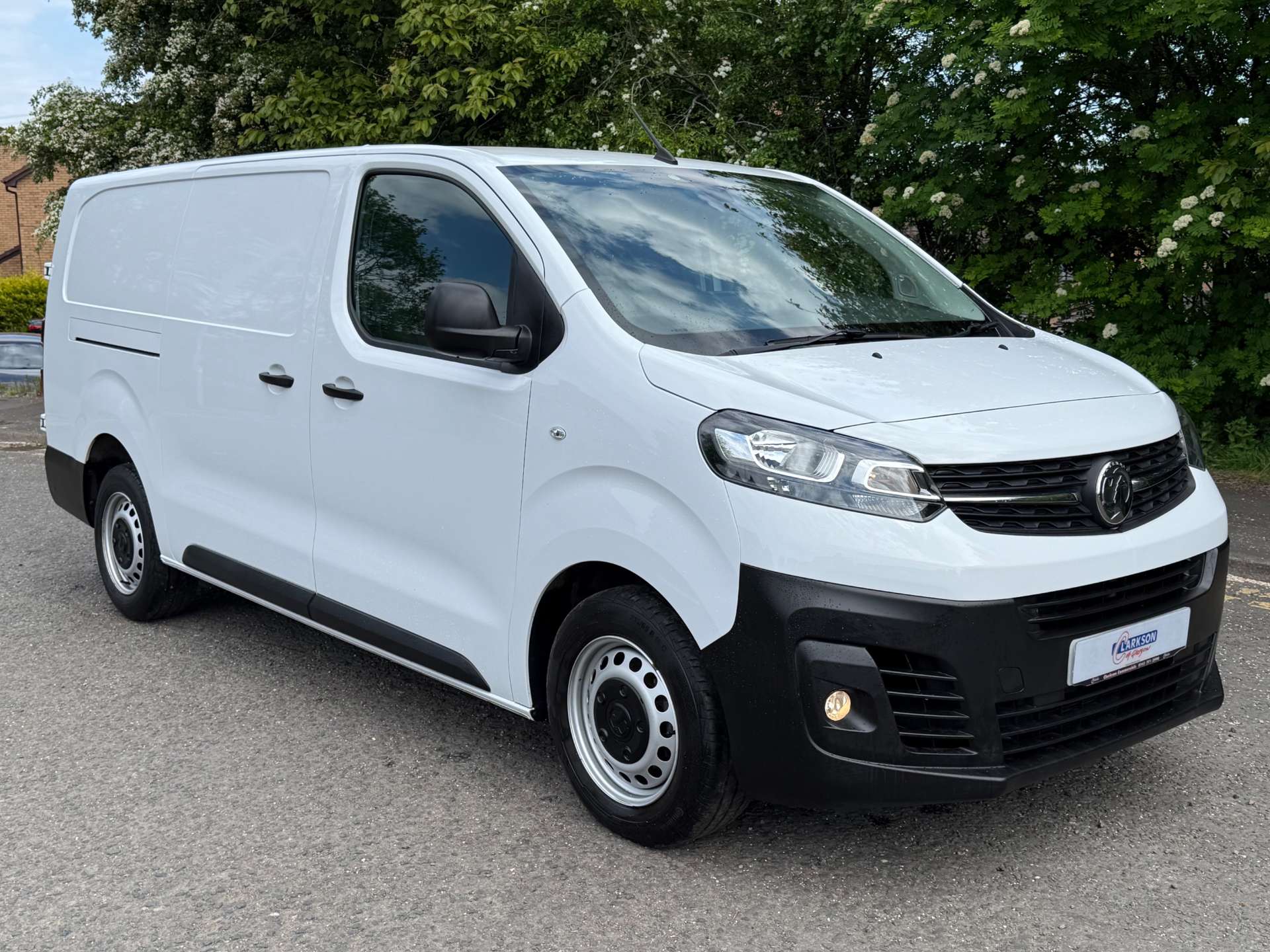 VAUXHALL VIVARO F2900 Dynamic L2 #0