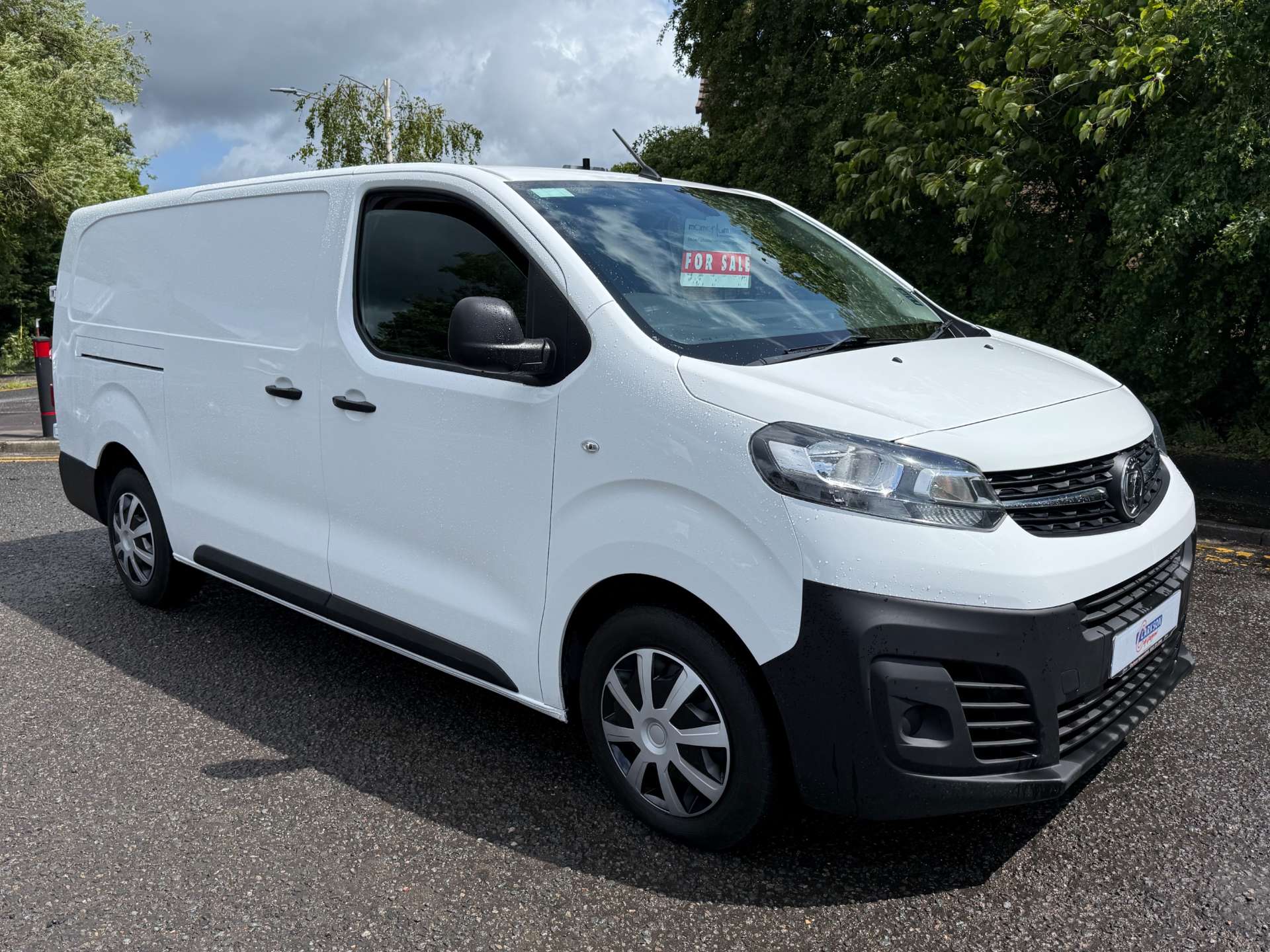 VAUXHALL VIVARO 2900 Dynamic L2 (LWB) #0