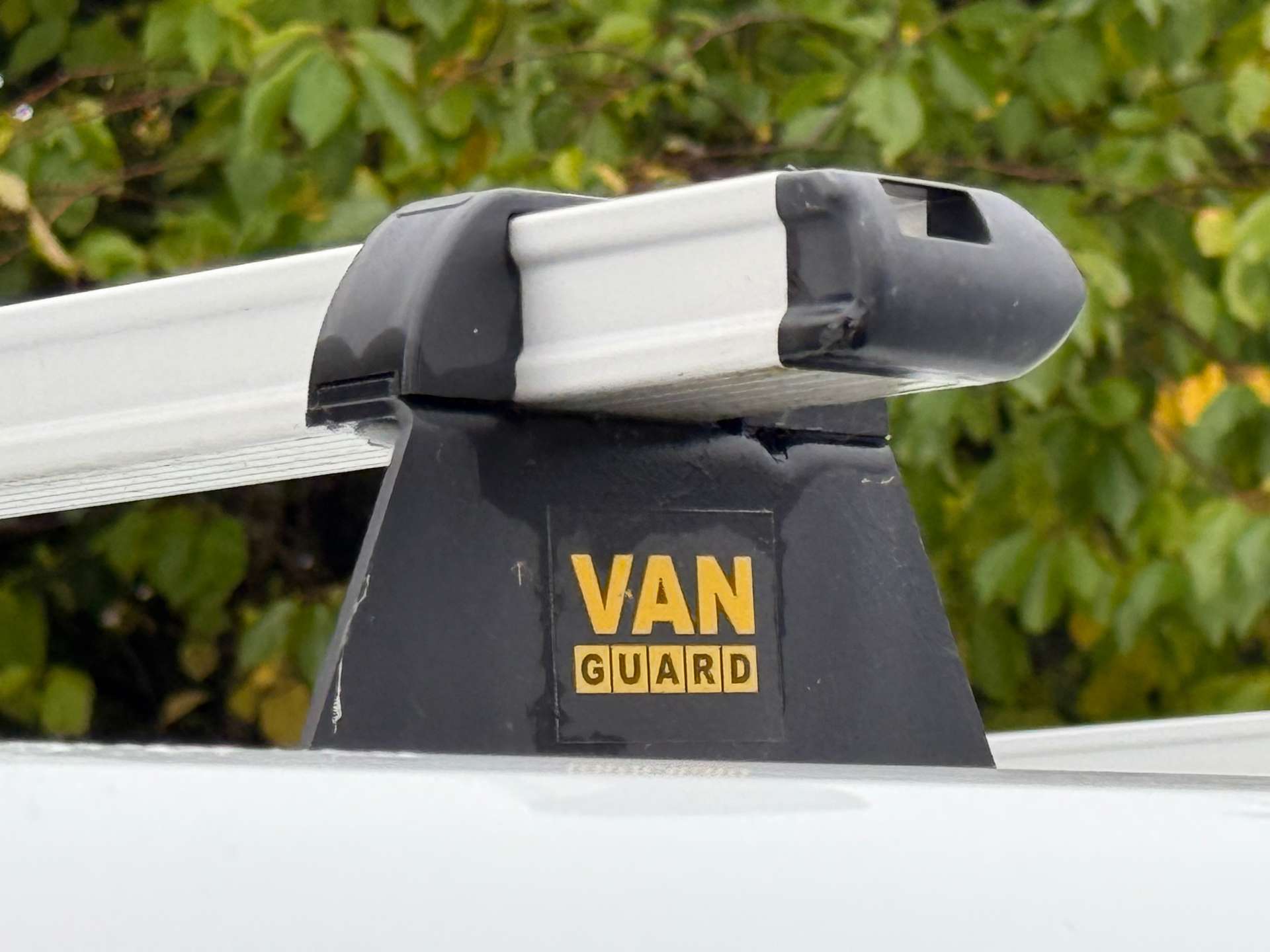 RENAULT TRAFIC 2.0 Trafic LL30 Business+ Blue dCi #12