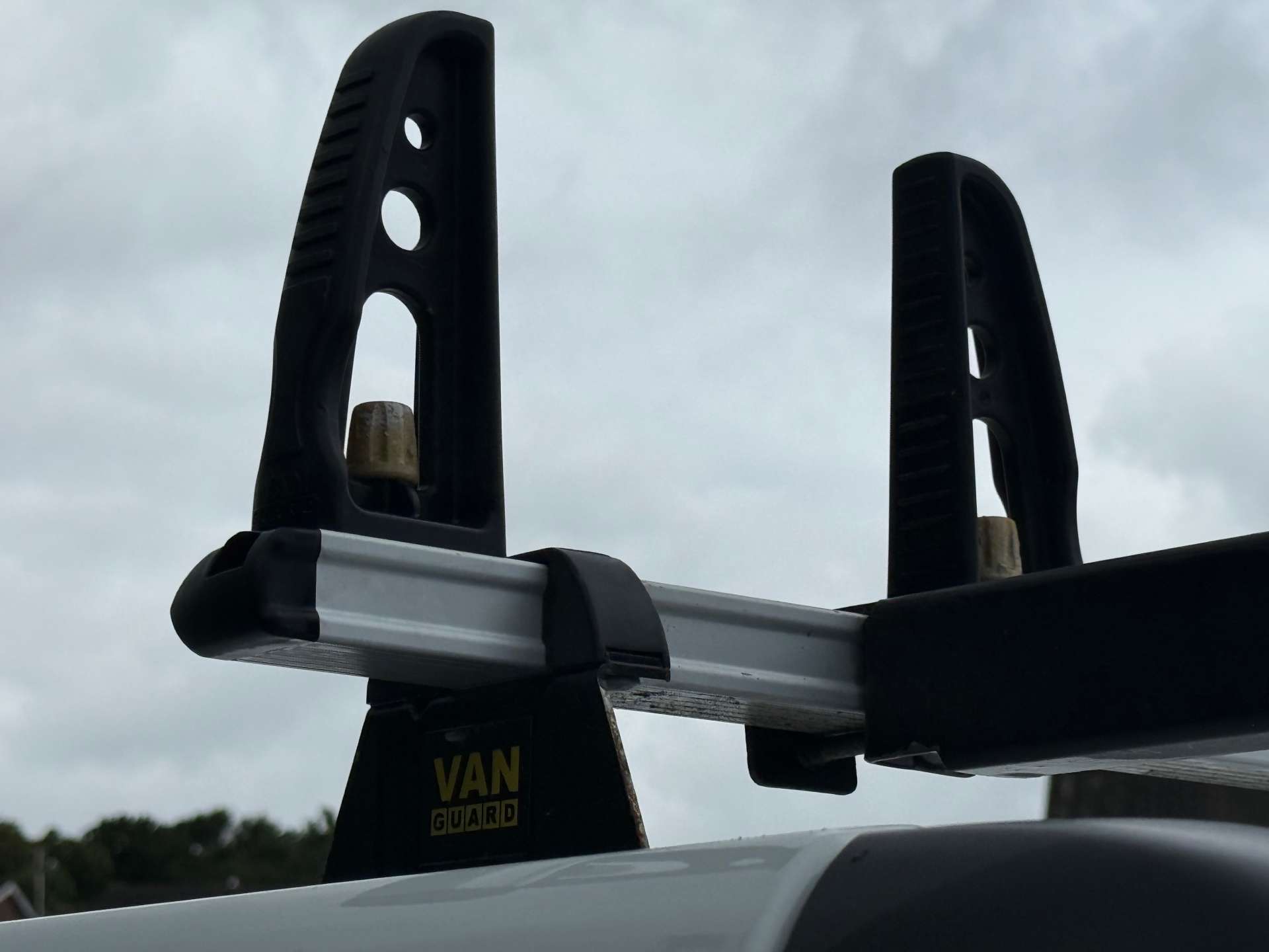 RENAULT TRAFIC LL30 Business Blue 2.0 DCi (L2) #8