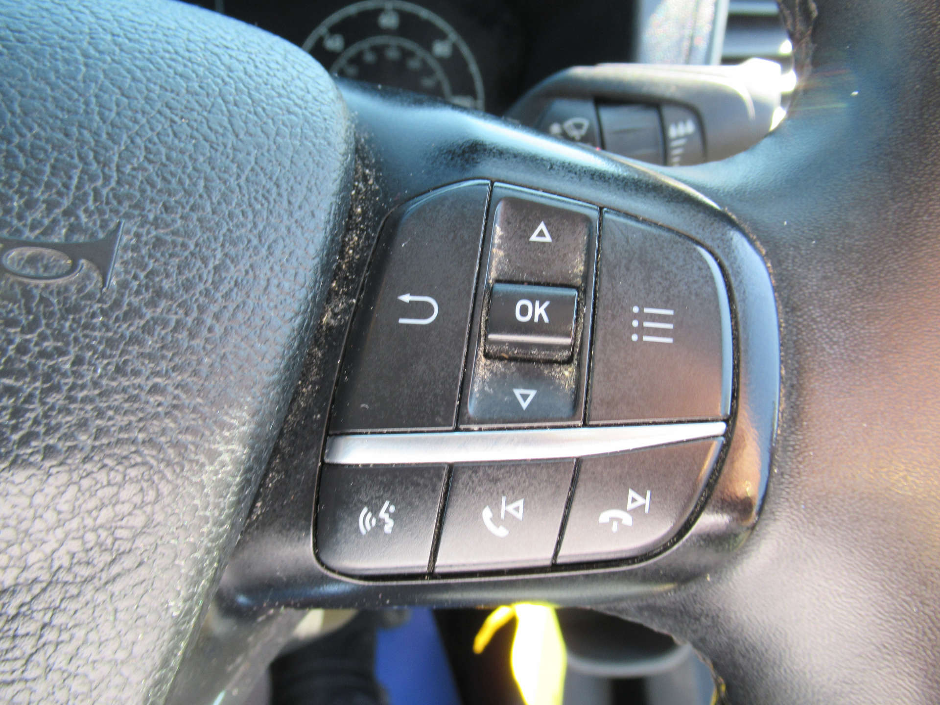 FORD TRANSIT CUSTOM 2.0 Transit Custom 300 Trail EcoBlue #24