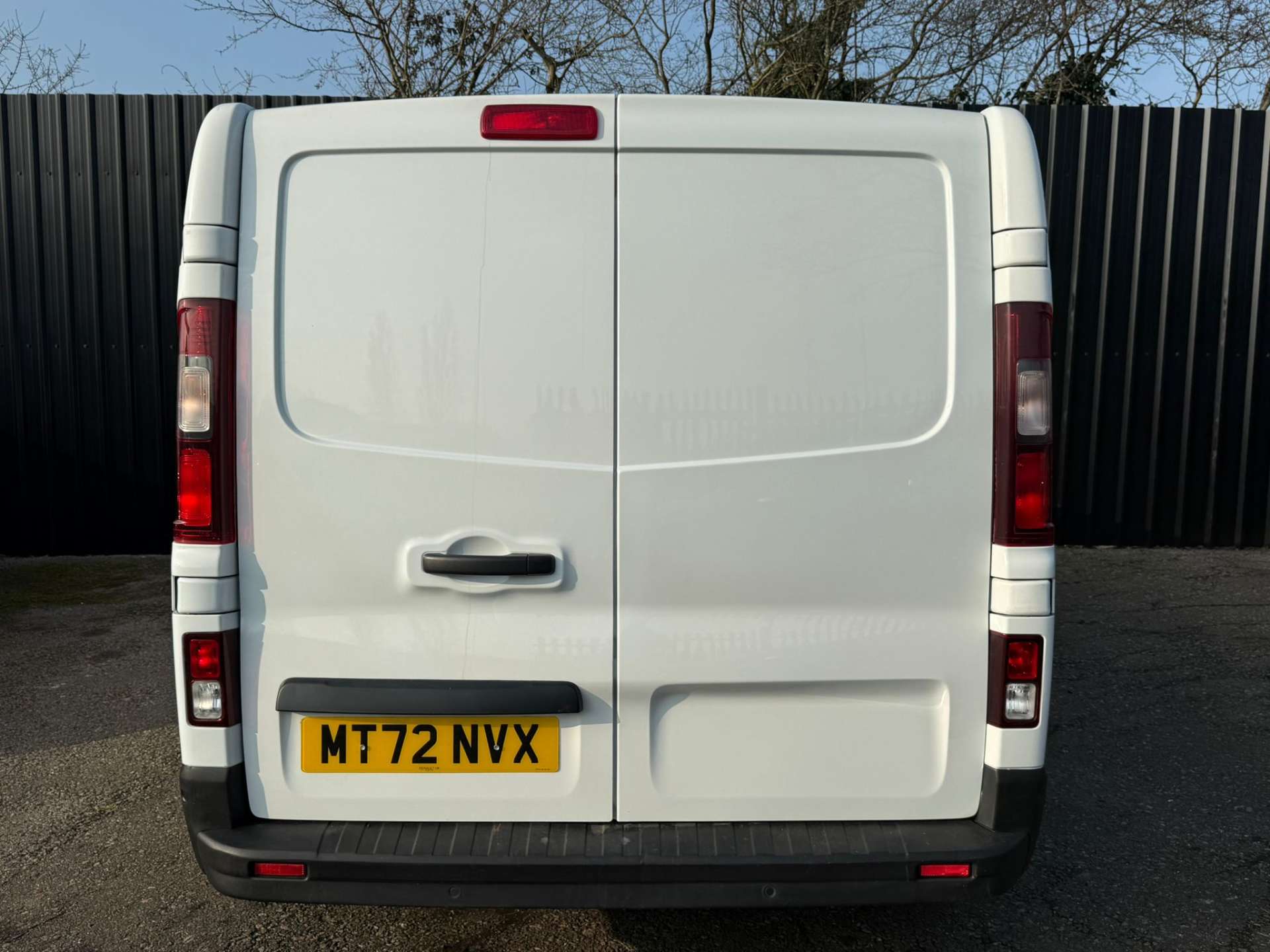 RENAULT TRAFIC 2.0 LL30 Business+ Blue dCi #10