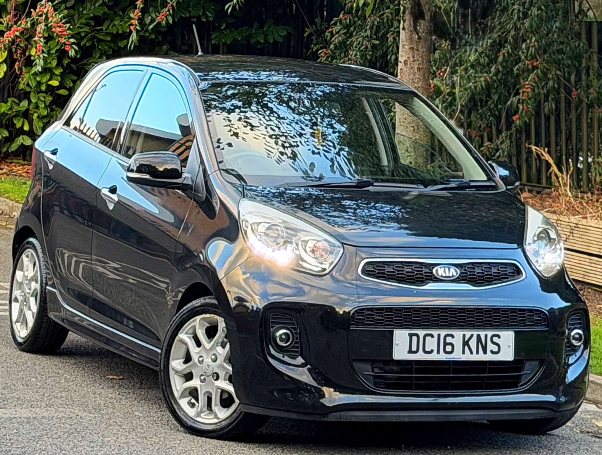 2016 KIA Picanto