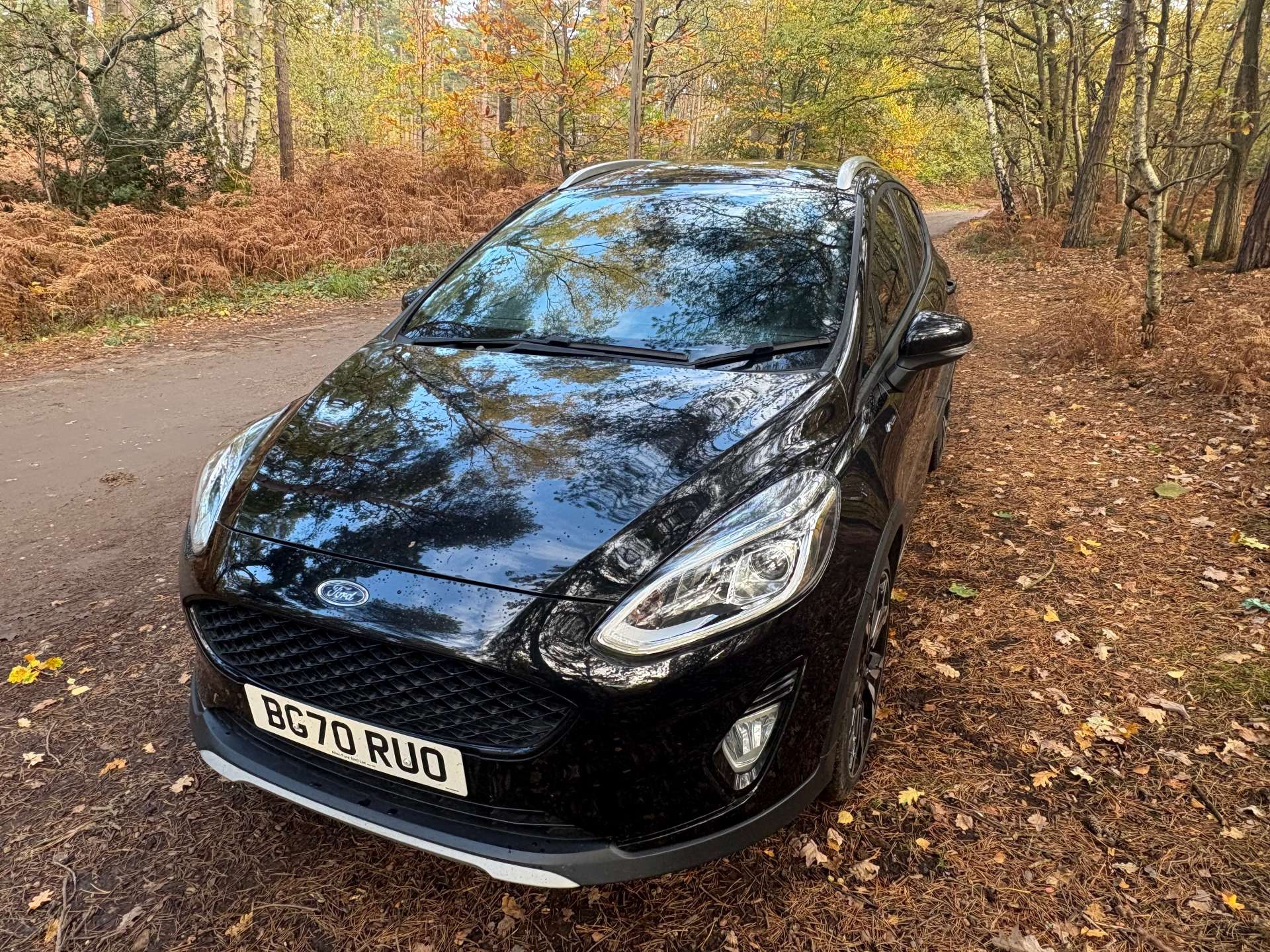 FORD FIESTA 1.0 Fiesta Active X Edition T MHEV 5dr #35