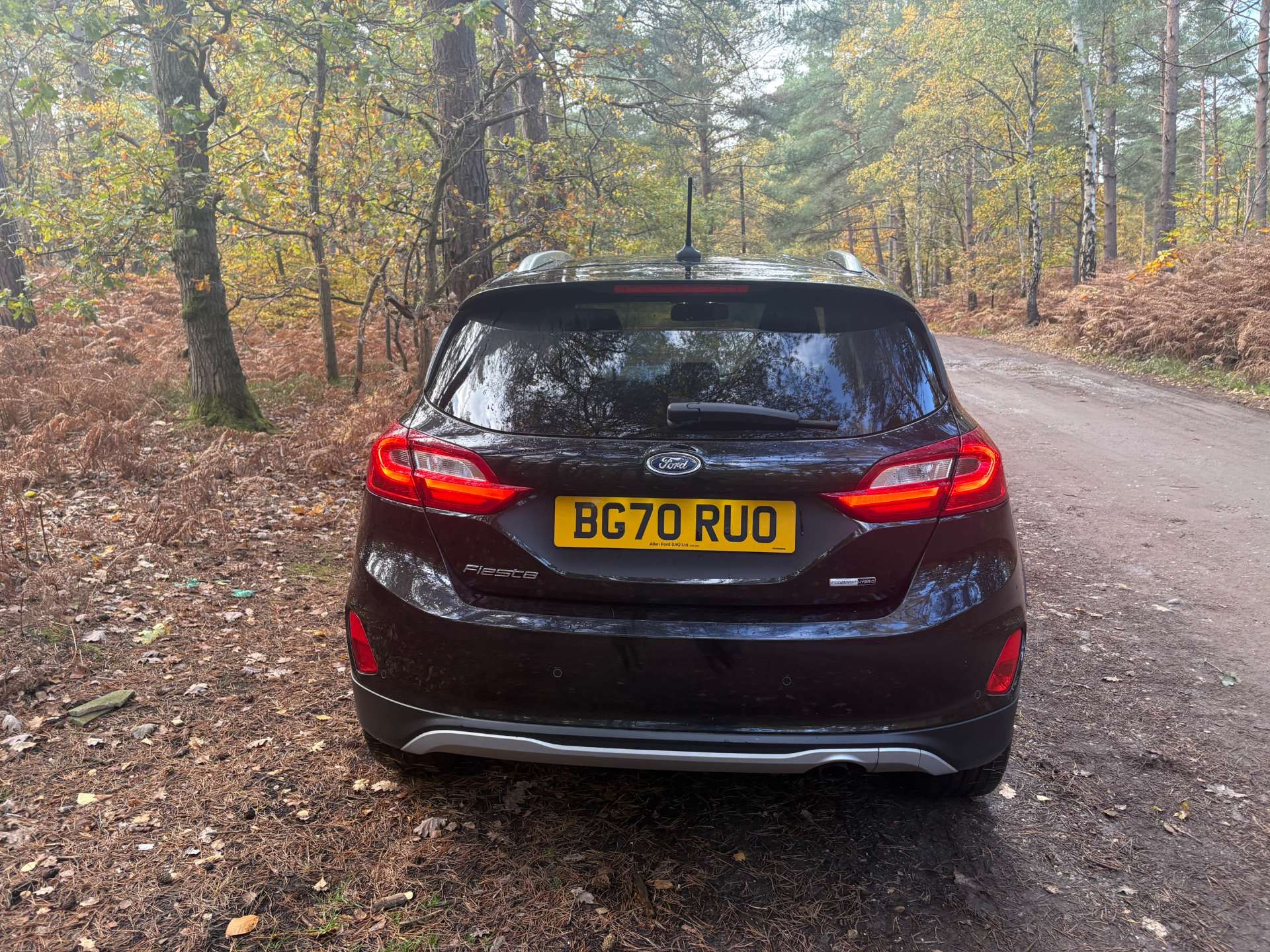 FORD FIESTA 1.0 Fiesta Active X Edition T MHEV 5dr #36