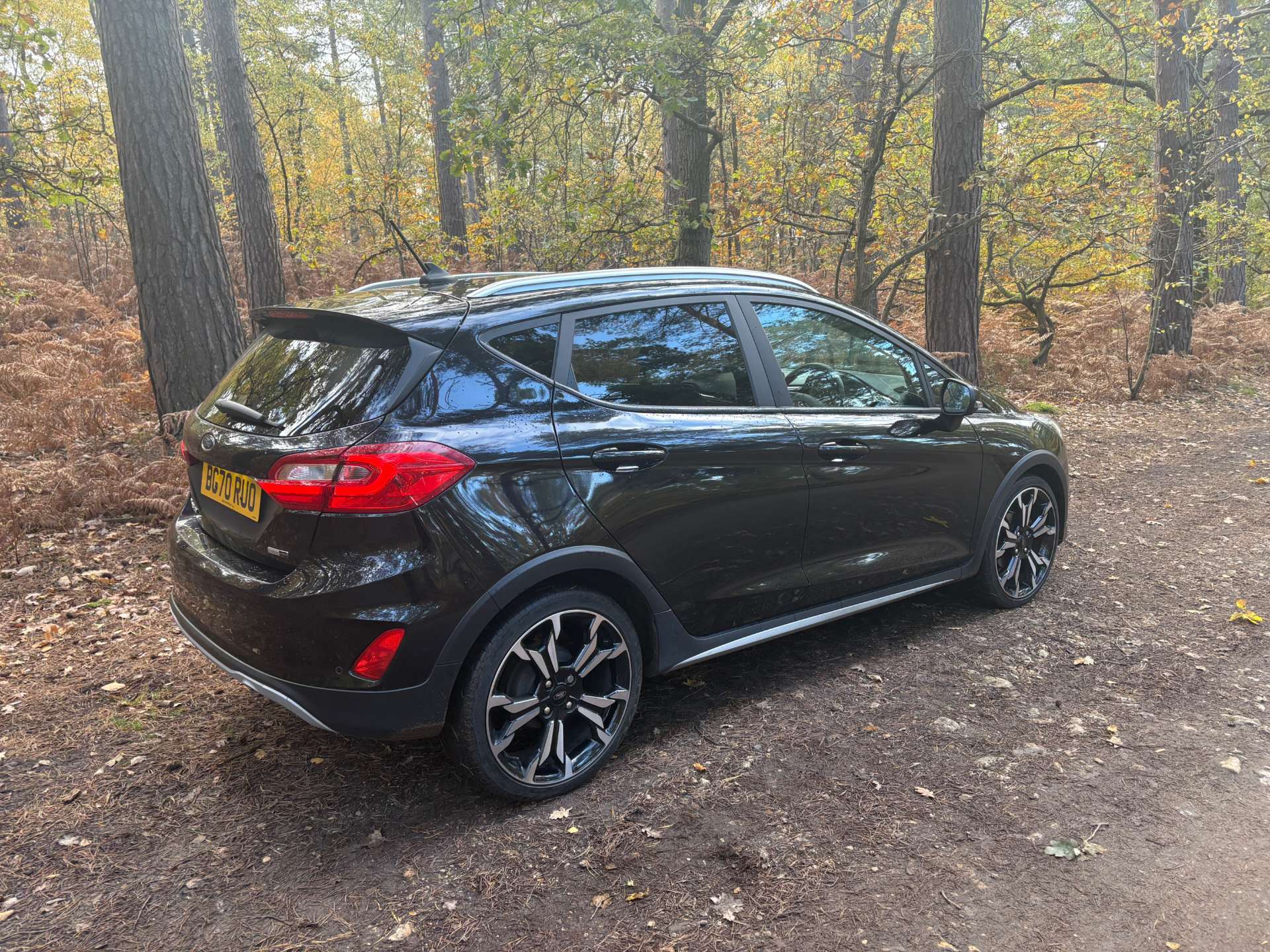 FORD FIESTA 1.0 Fiesta Active X Edition T MHEV 5dr #38