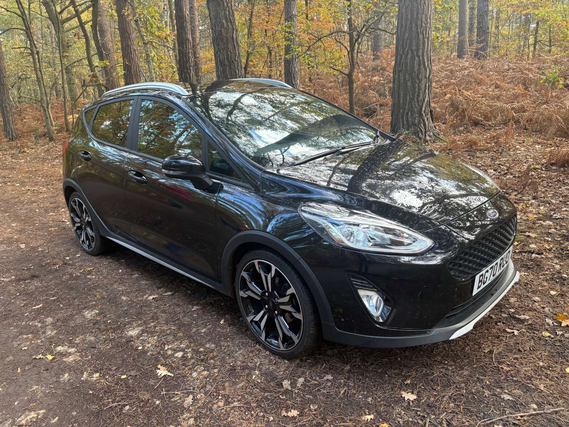 FORD FIESTA 1.0 Fiesta Active X Edition T MHEV 5dr #42