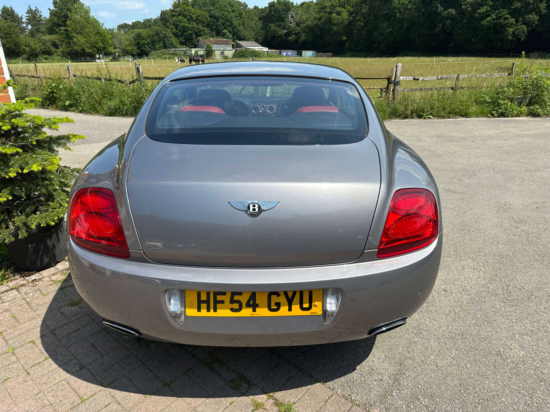 BENTLEY CONTINENTAL 6.0 Continental GT Auto 4WD 2dr #10