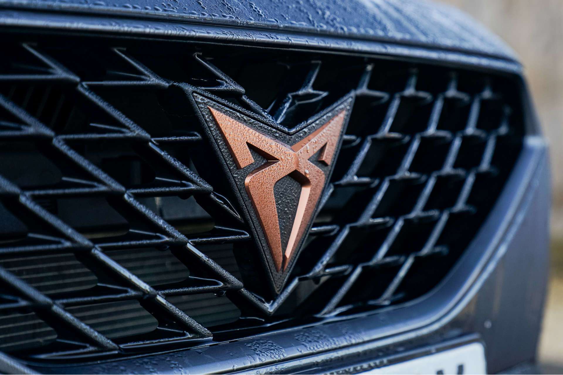 CUPRA FORMENTOR 2.0 Formentor VZ2 TSi 4Drive Semi-Auto 4WD 5dr For Sale