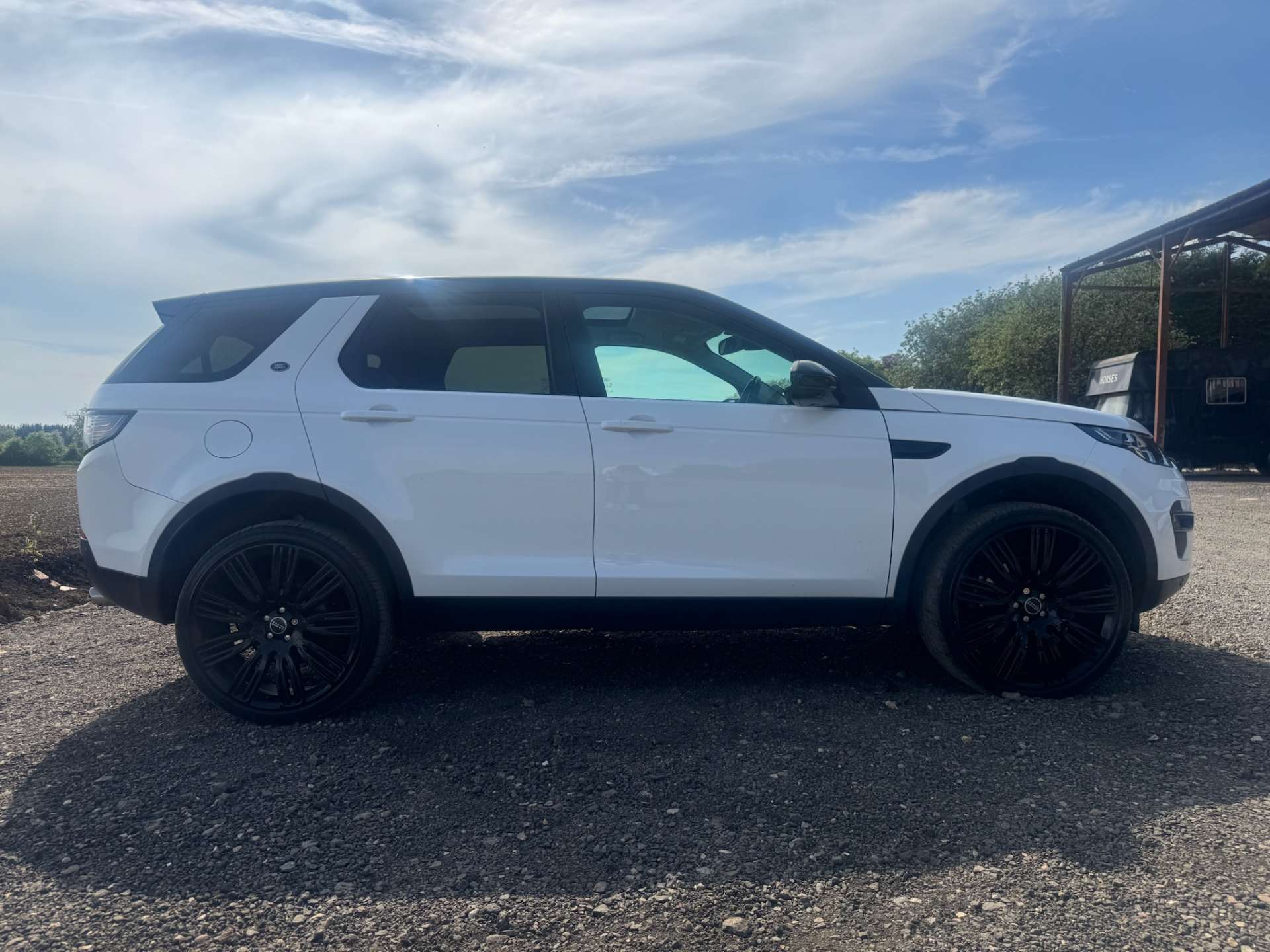 LAND ROVER DISCOVERY SPORT 2.0 Discovery Sport Black HSE TD4 Auto 4WD 5dr #19