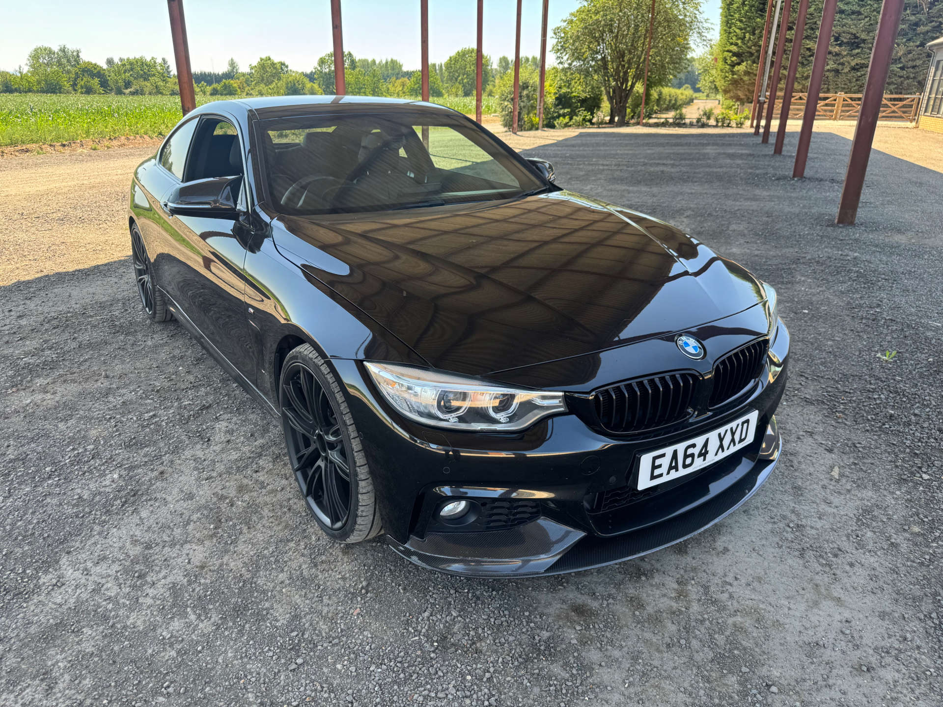 BMW 4 SERIES 2.0 428I M Sport Auto 2dr #3