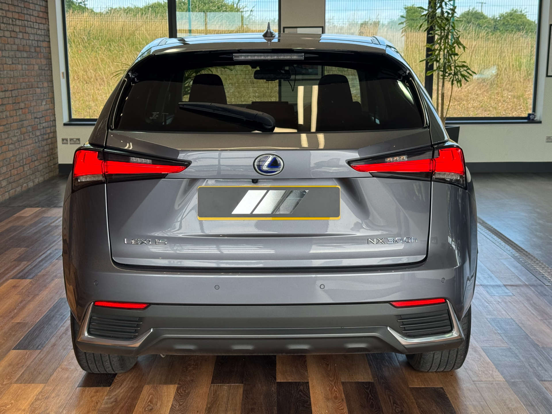 LEXUS NX 2.5 NX 300h CVT 4WD 5dr #8