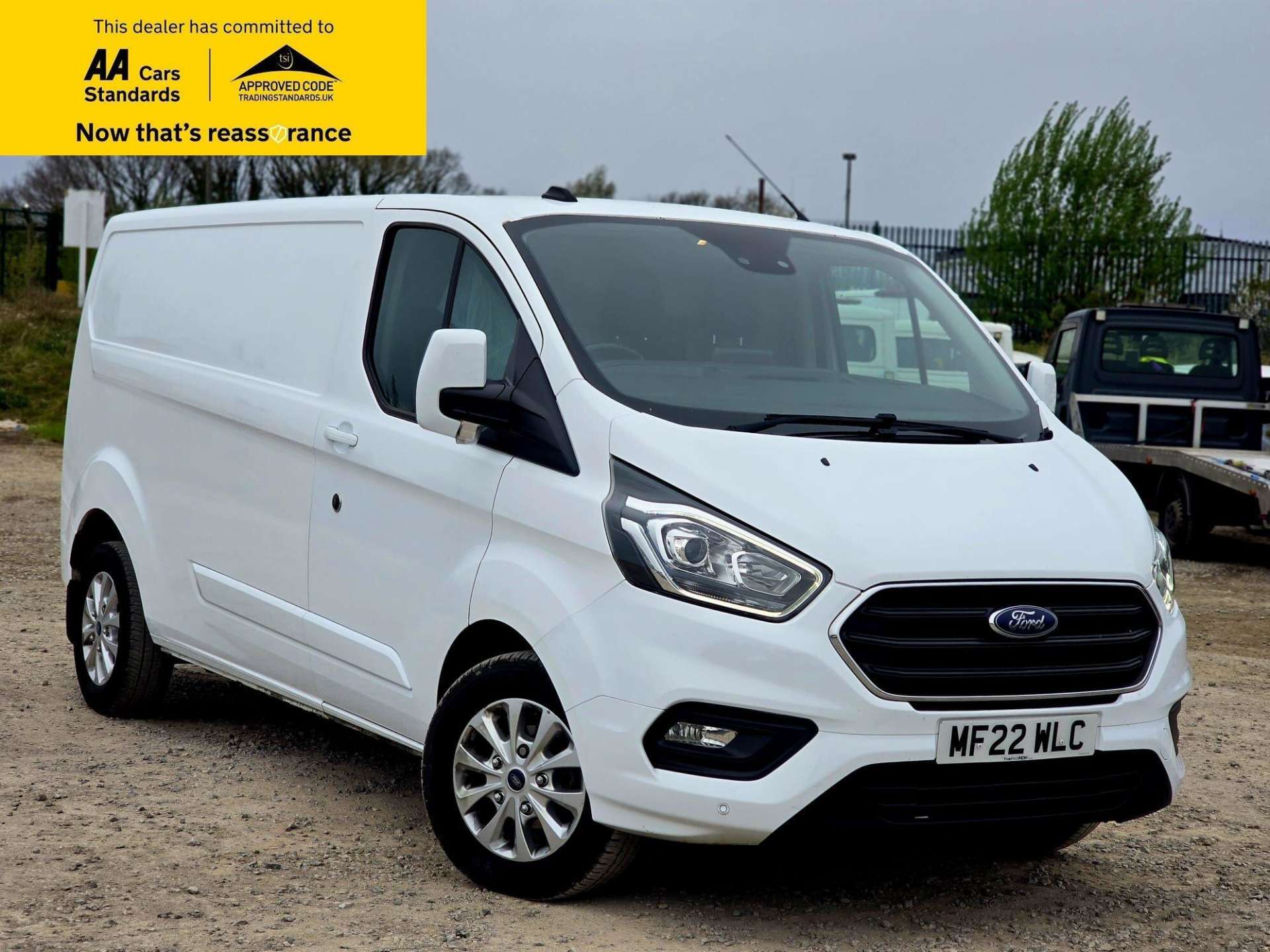 2.0 300 EcoBlue Limited Panel Van 5dr Diesel Manual L2 H1 Euro 6 (s/s) (130 ps)