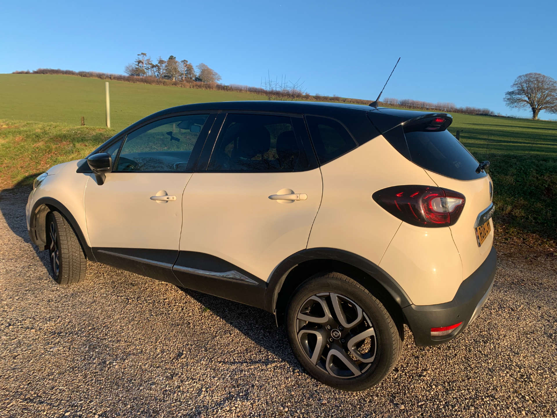 RENAULT CAPTUR 1.5 Captur Dynamique S Nav dCi 5dr #18