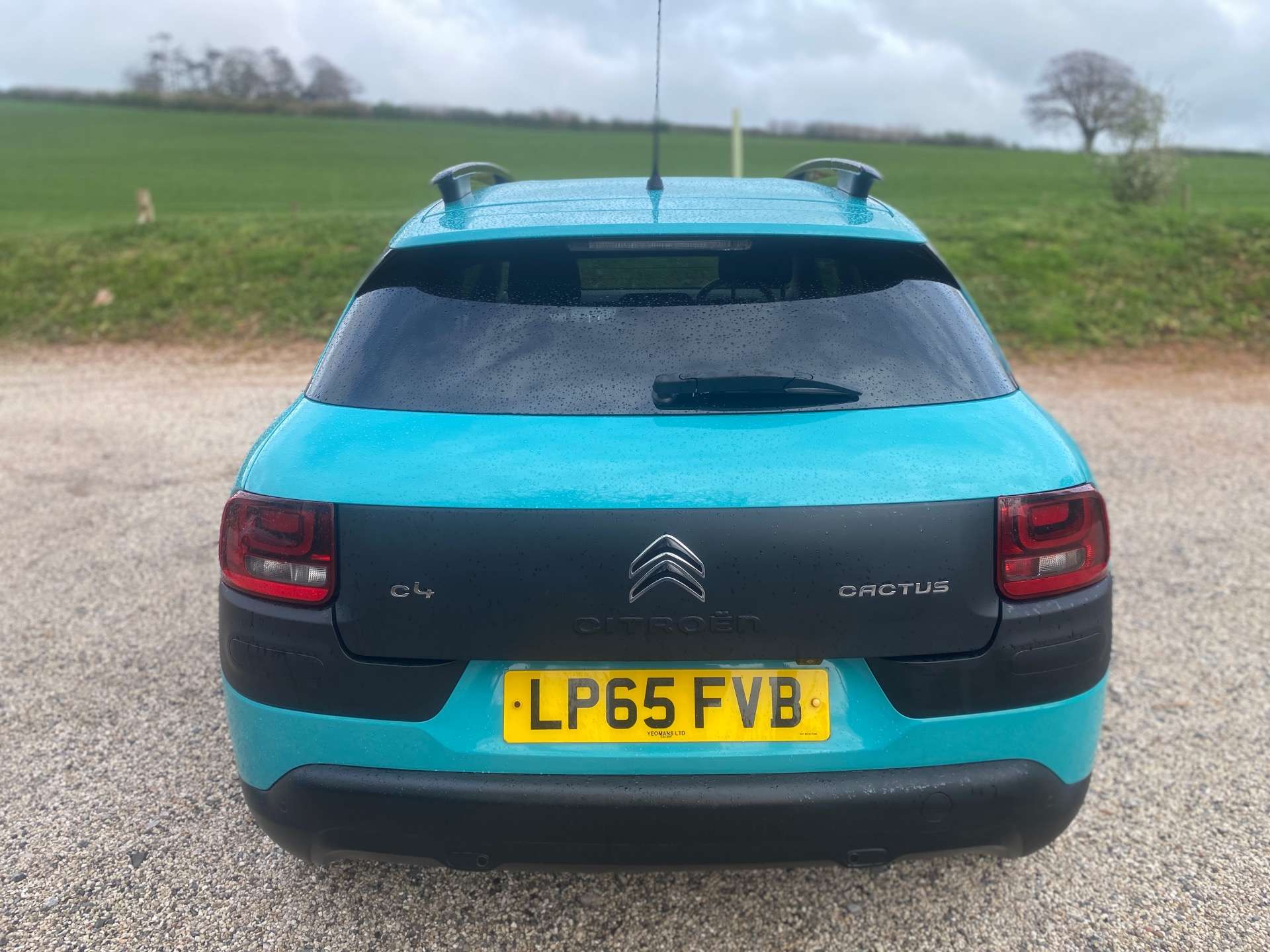 CITROEN C4 CACTUS 1.2 C4 Cactus Flair PureTech S/S Semi-Auto 5dr #1