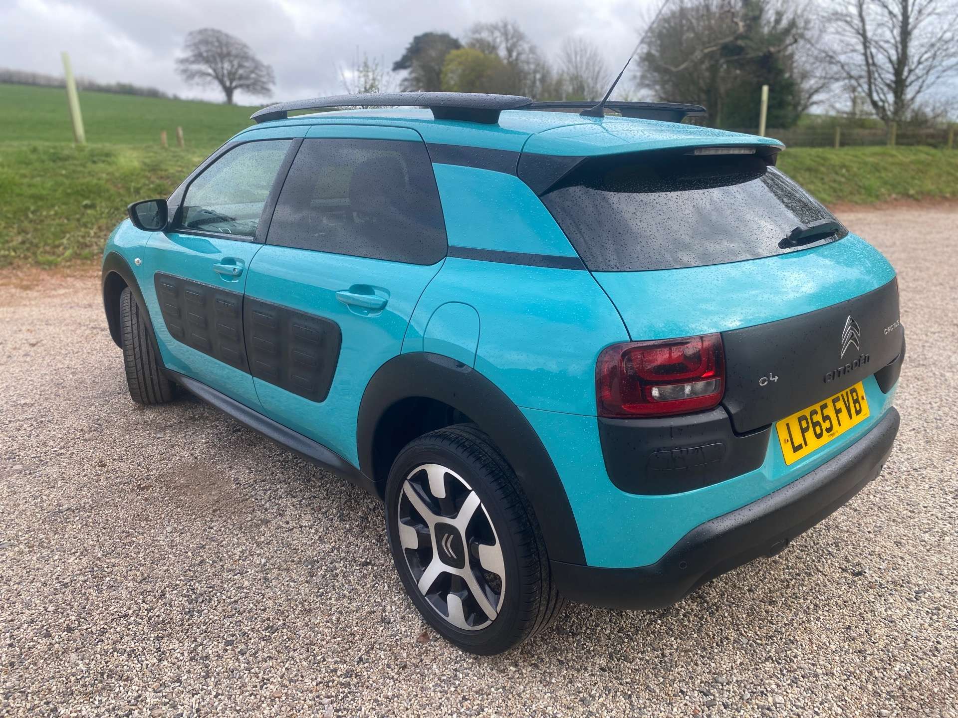 CITROEN C4 CACTUS 1.2 C4 Cactus Flair PureTech S/S Semi-Auto 5dr #11
