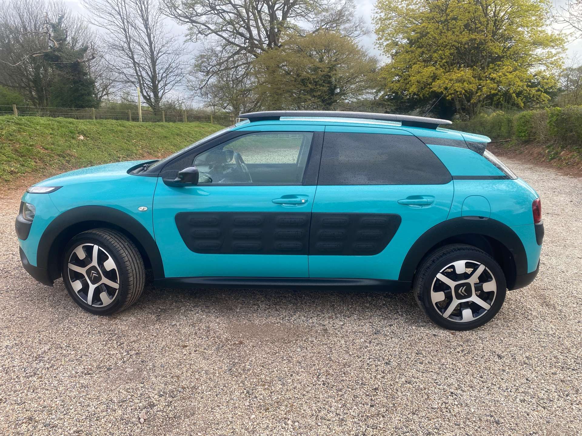 CITROEN C4 CACTUS 1.2 C4 Cactus Flair PureTech S/S Semi-Auto 5dr #31