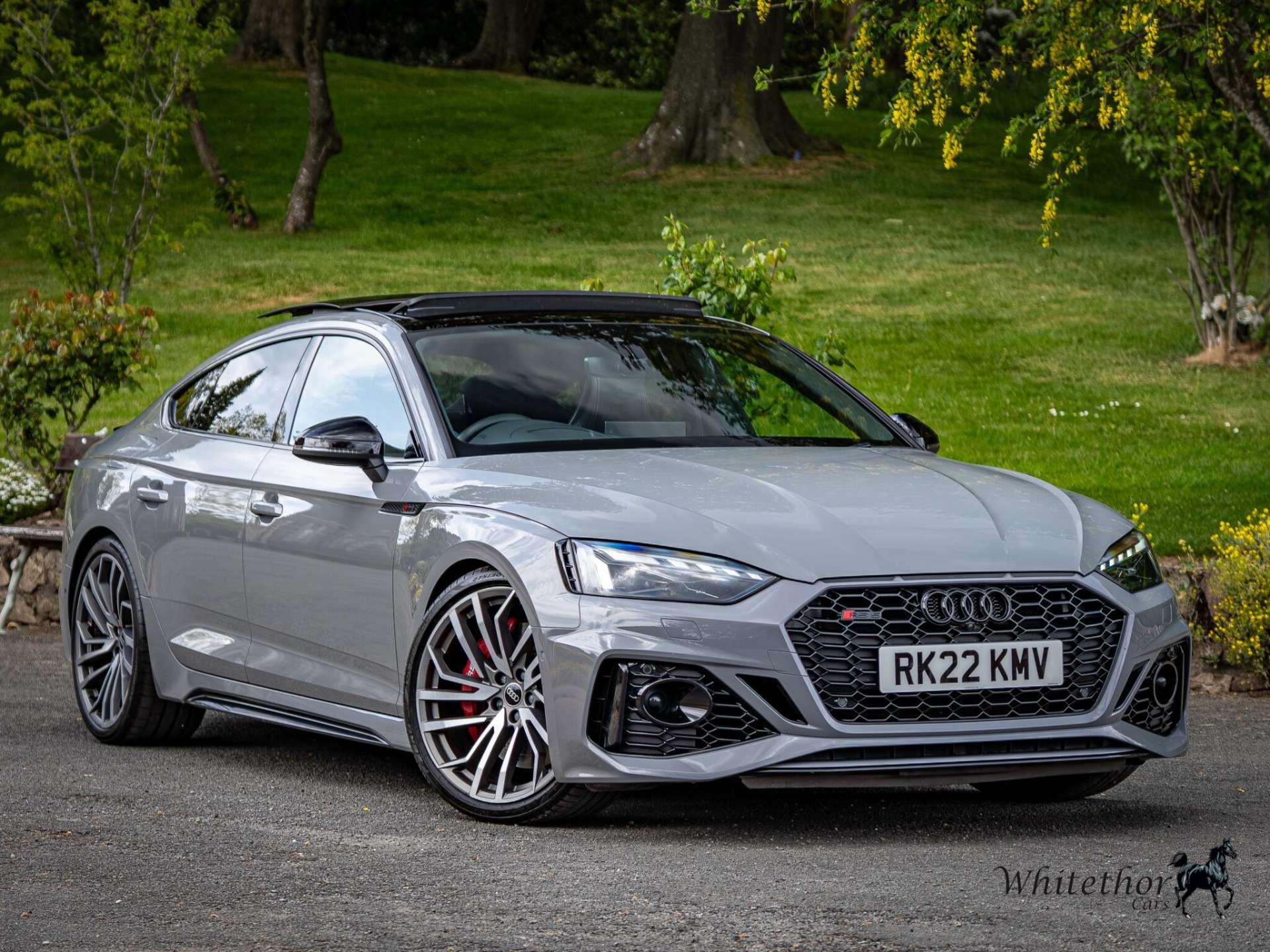 Grey 2022 Audi RS5 Hatchback All-wheel drive Automatic